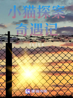 小貓探案奇遇記