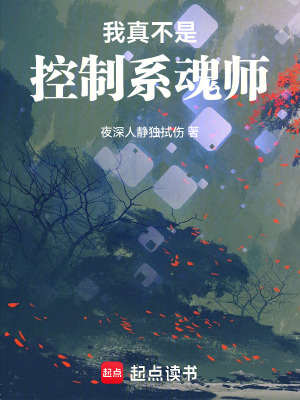 我真不是控製係魂師
