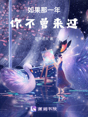 如果那一年你不曾來過