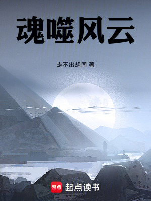 魂噬風雲