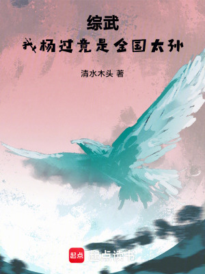 綜武：我楊過，竟是金國太孫