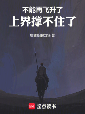 不能再飛升了，上界撐不住了