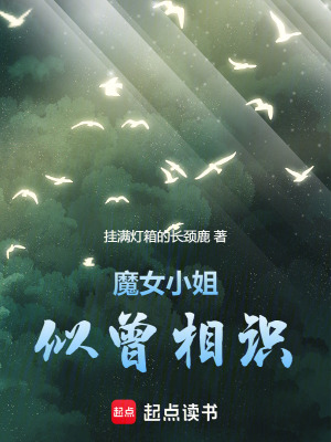 魔女小姐似曾相識