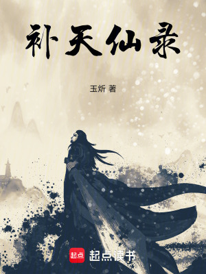 補天仙錄
