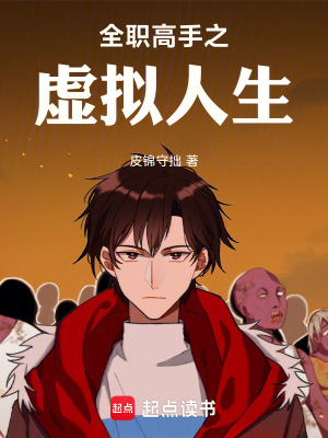 全職高手之虛擬人生