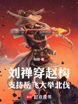 劉禪穿趙構，支持嶽飛大舉北伐