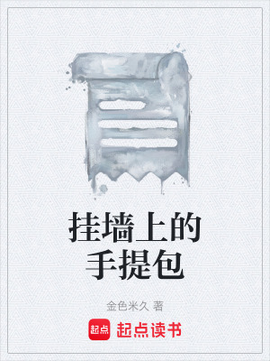 掛牆上的手提包