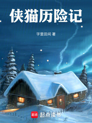 俠貓曆險記