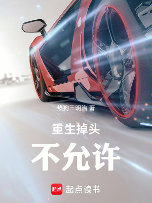 重生掉頭不允許