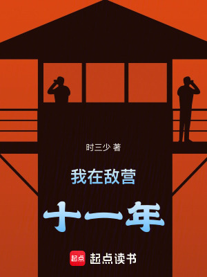 我在敵營十一年