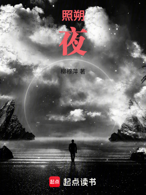 照朔夜