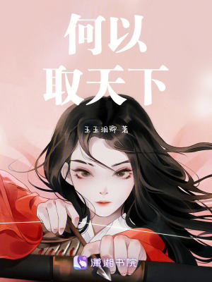 何以取天下