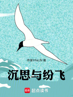 沉思與紛飛