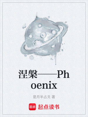 涅槃——Phoenix