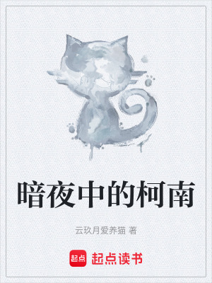 暗夜中的柯南