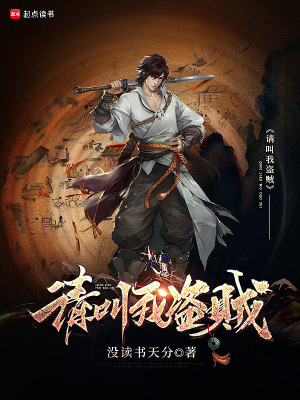請叫我盜賊