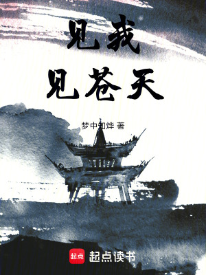 見我見蒼天