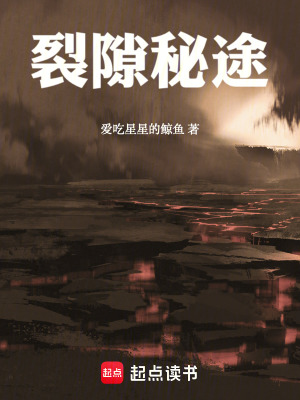 裂隙秘途