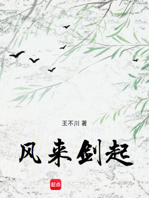 風來劍起