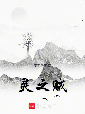 靈之賊
