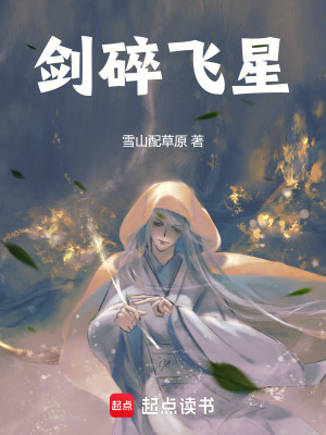 劍碎飛星
