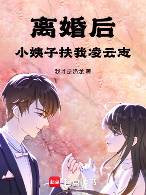 離婚後，小姨子扶我淩雲誌