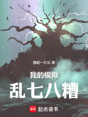 我的模擬亂七八糟