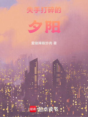 失手打碎的夕陽