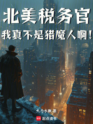 北美稅務官，我真不是獵魔人啊！