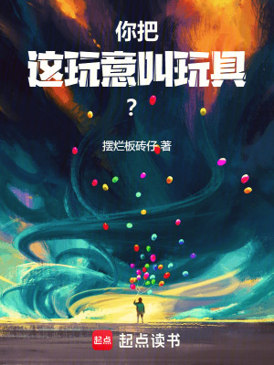 你把這玩意叫玩具？