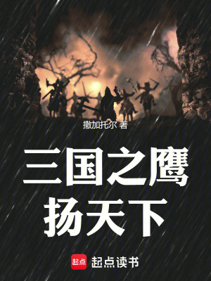 三國之鷹揚天下