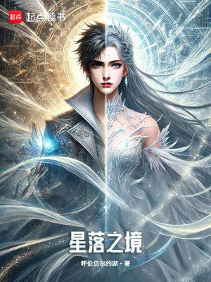 星落之境