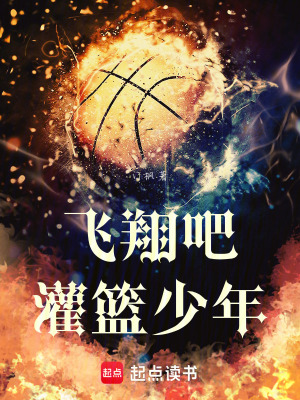 飛翔灌籃少年