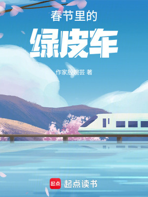 春節裏的綠皮車