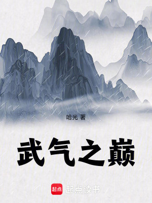 武氣之巔