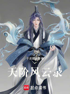 天階風雲錄