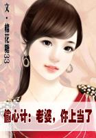 偷心計：老婆，你上當了
