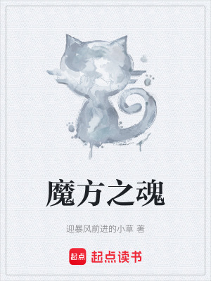魔方之魂