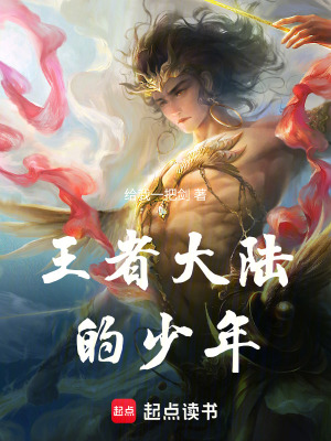 王者大陸的少年