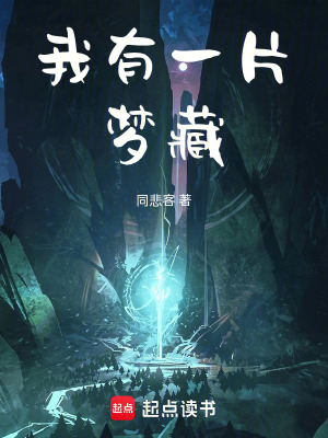 我有一片夢藏