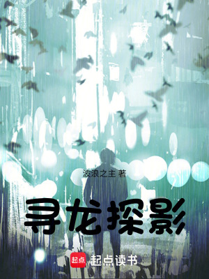 尋龍探影