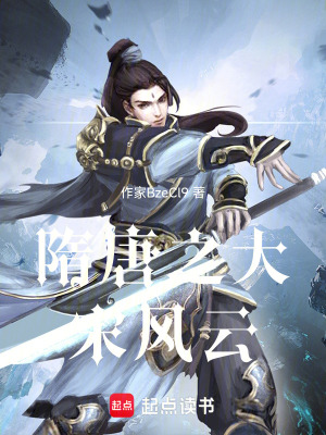 隋唐之大宋風雲