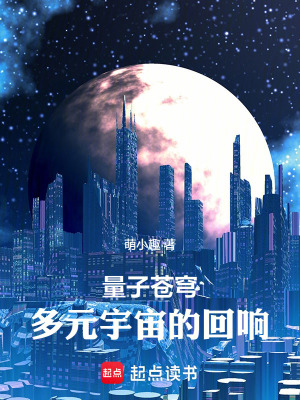 量子蒼穹：多元宇宙的回響