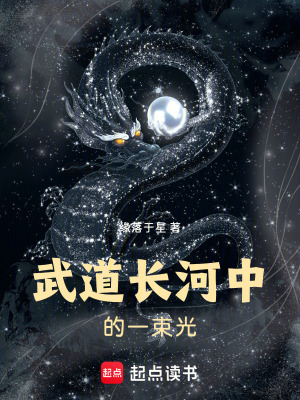 武道長河中的一束光