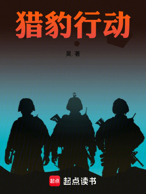 獵豹行動