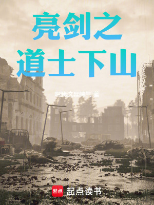 亮劍之道士下山