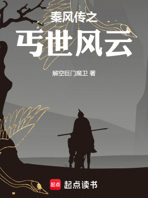 秦風傳之丐世風雲