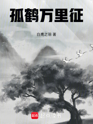 孤鶴萬裏征