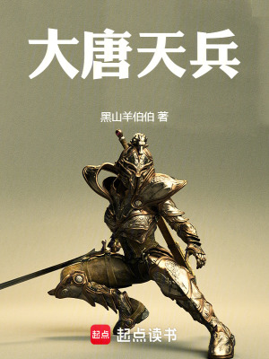 大唐天兵