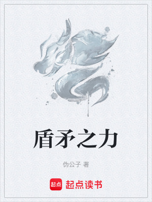 盾矛之力